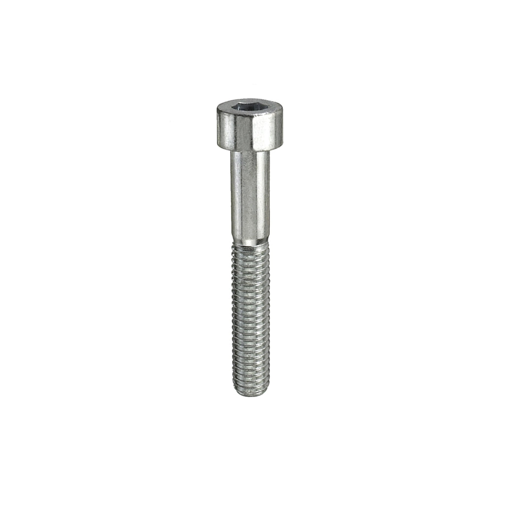 Viti testa cilindrica eagono incassato M10 x 100 - 2 pz.