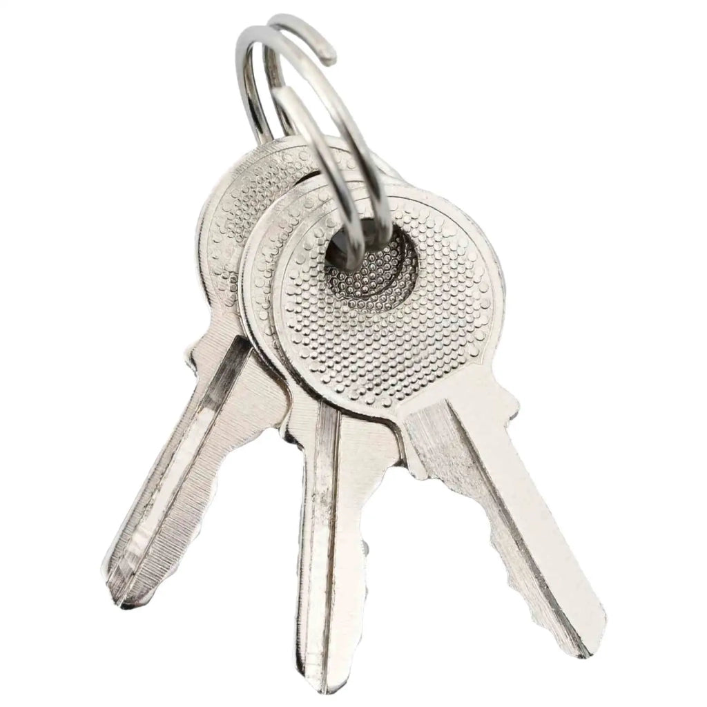 U Lock con Chiavi 100 pcs Ottone Ferro 42021897