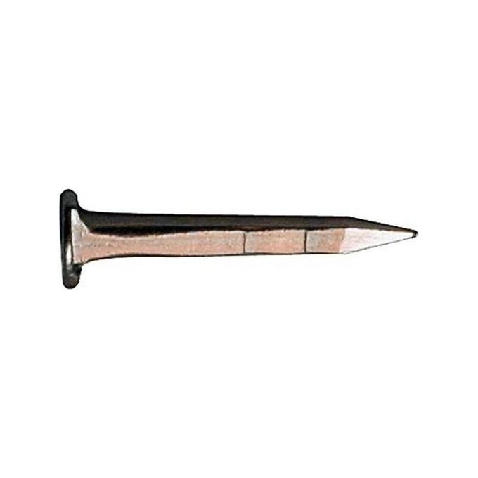 Semenze Acciaio 2 Leoni Tp Gambo Quadro Kg. 1 mm. 12
