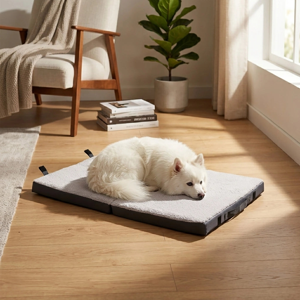 Set Accessori per Cani con Cuccia Lavabile Antiscivolo 61x48x18 cm, 2 Ciotole, Gioco in Corda 28 cm e Porta Sacchetti con 15 Sacchetti Kit Completo per Animali Domestici