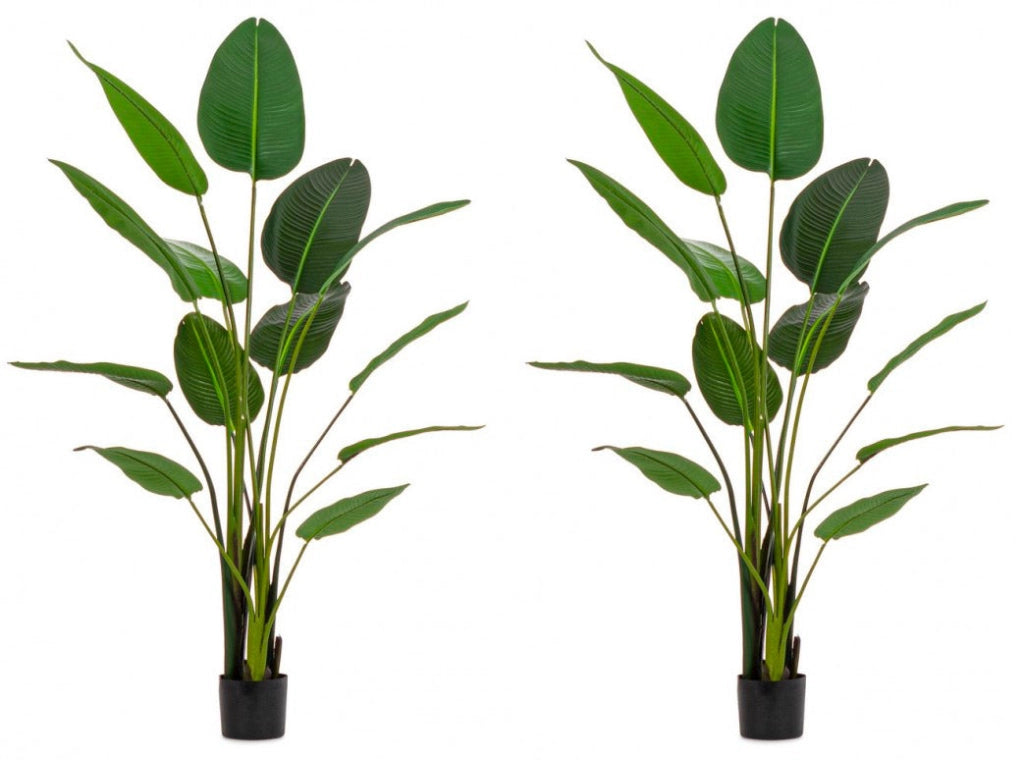 Set 2 Piante Artificiali Strelitzia 170x32x185 cm in Plastica con Vasi Verde