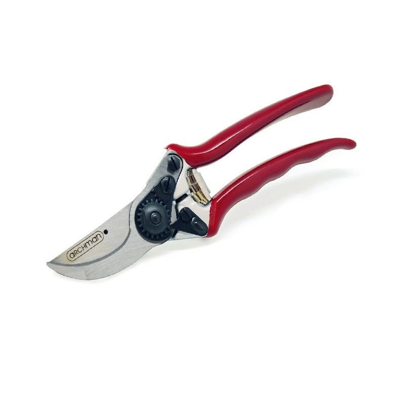 Forbice da potatura vigna lama intercambiabile 21 cm