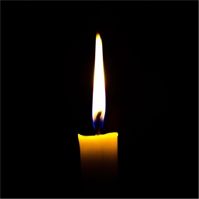 CANDELE STEARICHE IN ASTUCCIO DA 8 PEZZI