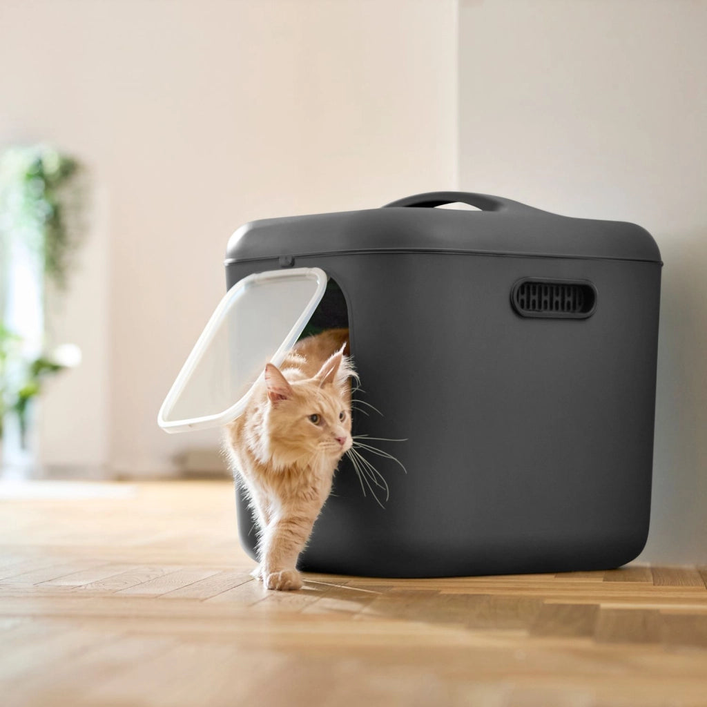 Lettiera per gatti BIALA XL -   Colore Antracite/Nero