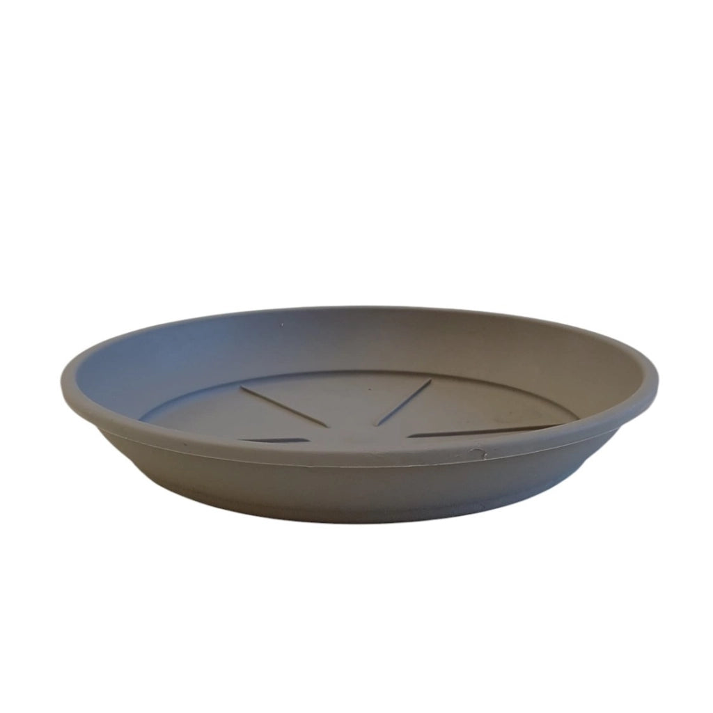 SOTTOVASO COLOR D.18XH3CM ASSORTITO