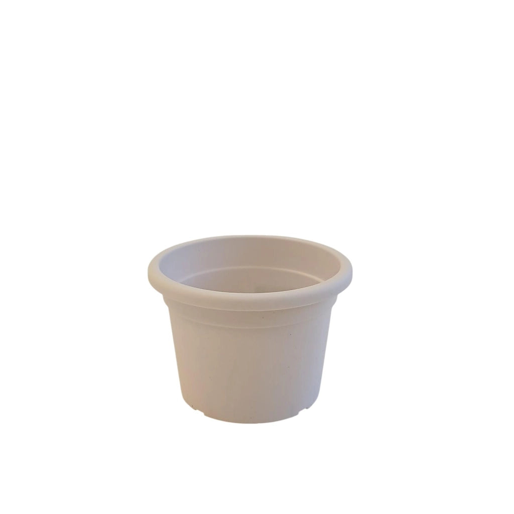 VASO CILINDRO COLOR D.19XH15CM ASSORTITO