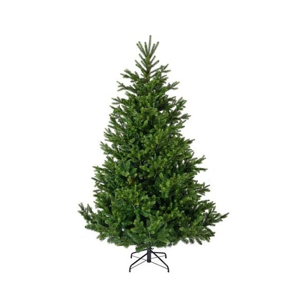 Albero natale amicasa 9684307 nordmann