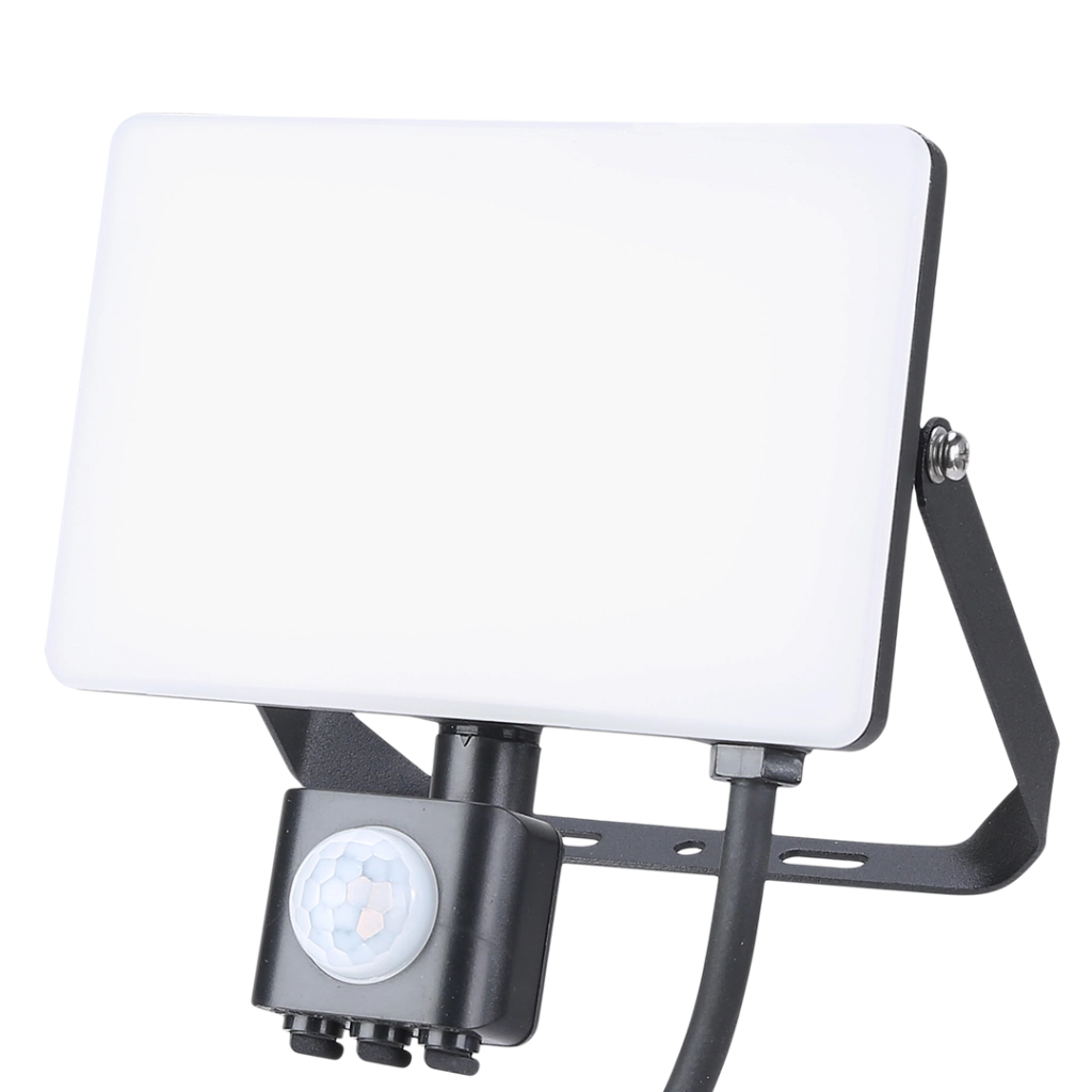 Faro LED 30W 3000lm sensore crepuscolare e movimento Eko-Light