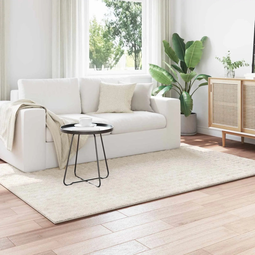 Tappeti per area | Tappeti a zone SIROLO Crema 200 x 140 cm Poliestere