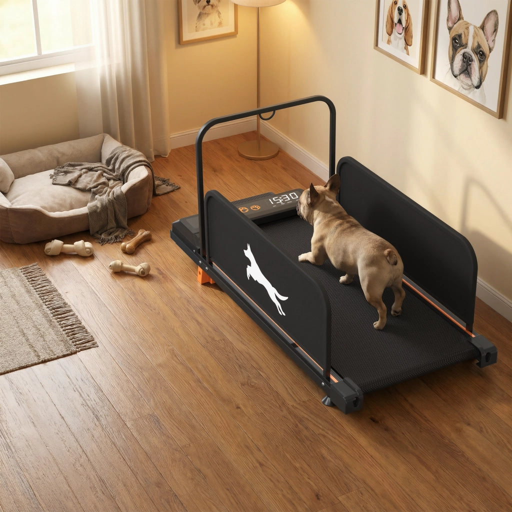 Tapis roulant per cani con motore da 2.5 HP; ruote di trasporto; pannelli rimovibili; nero; nastro 900 × 375 mm