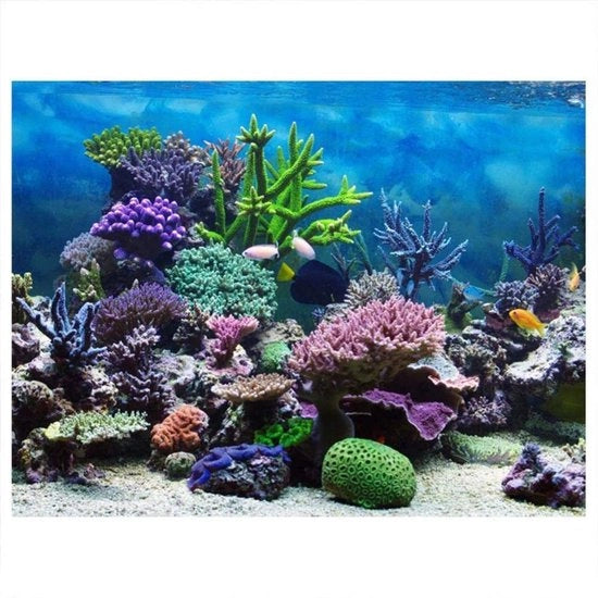Decorazione per acquario PVC - Retroplacca per acquario - Decorazione sottomarina - Rilievo corallino - Adesivi per acquario - 122x46cm - Adatto per acquari con visibilità - Decorazione per acquario