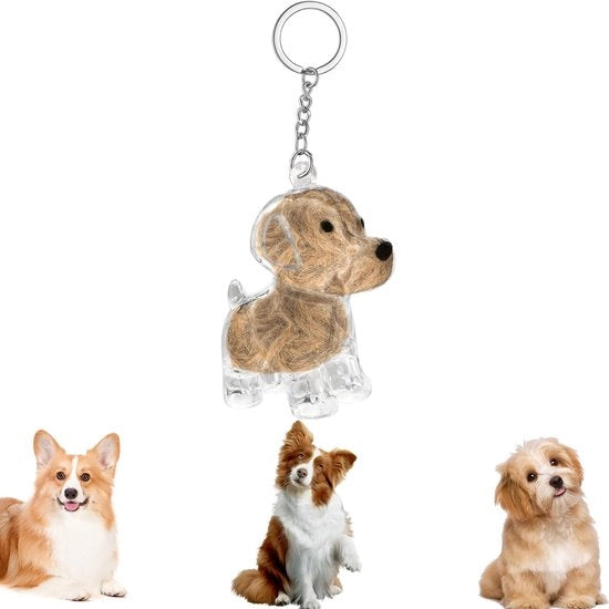 Porta chiavi con capelli di cane - Capsula di ricordo - Ricordo per gli amanti degli animali - Scatola di conservazione - Materiale plastico di alta qualità - Progettazione pratica - Porta chiavi di ricordo