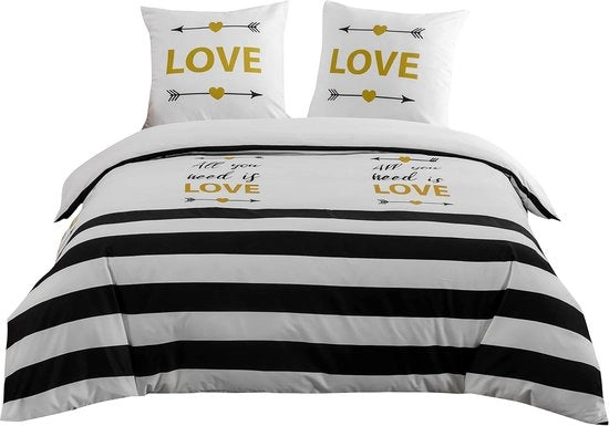 Set di Cuscini e Coperte a Microfibra 3-Delicata con Cuscini e Coperta per Letto