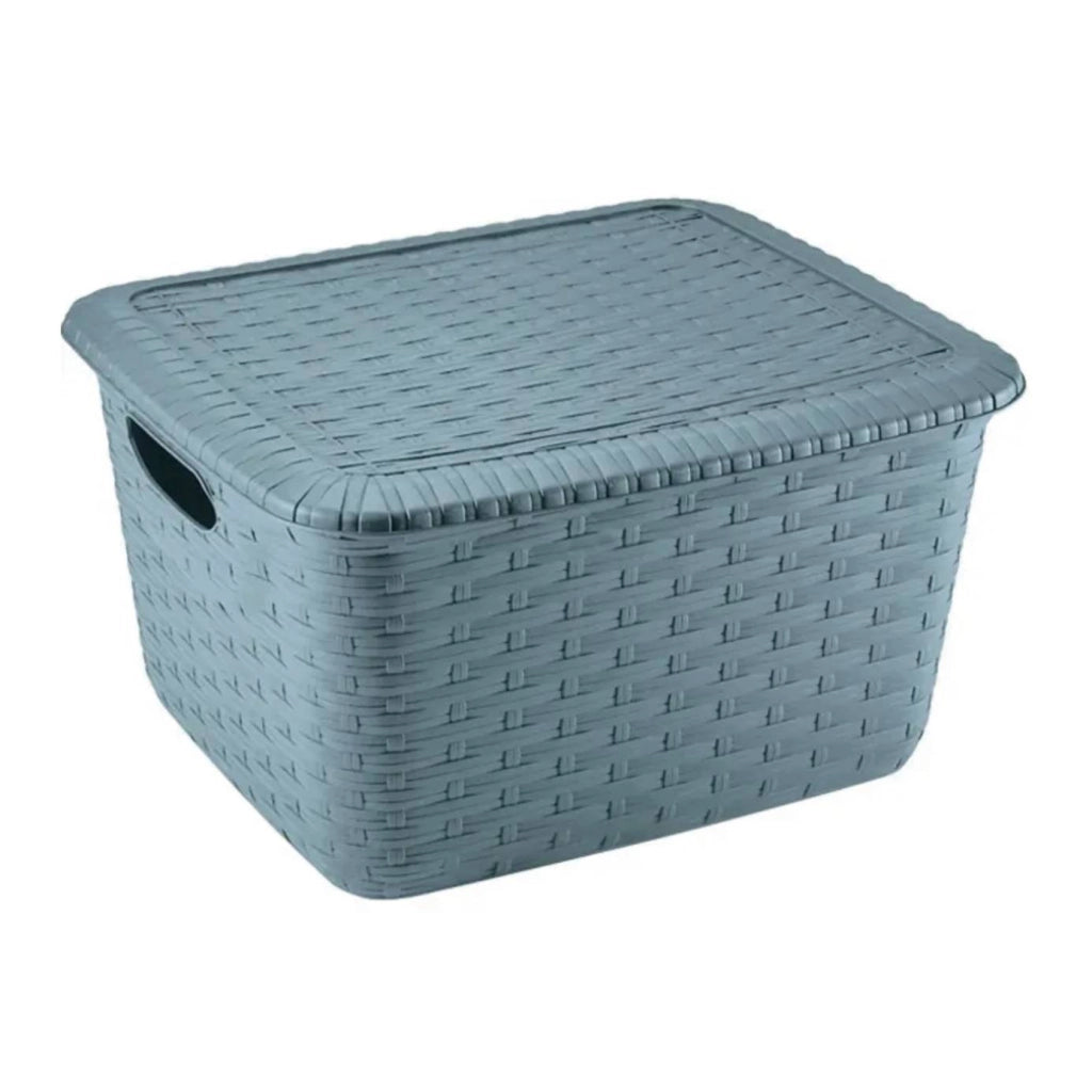 Dandy Plus box contenitore effetto rattan Avorio/30 x 23,5 x 20 cm • 8,5 L