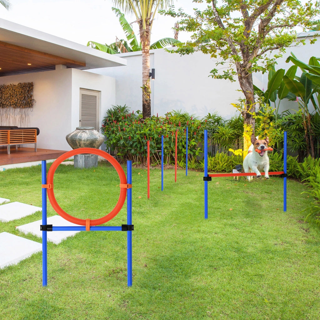 Set Agility per Cani ¨C zephmum ¨C Blu Rosso