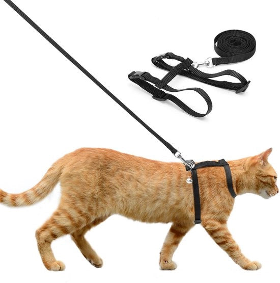 Catena di sicurezza per gatti - Adattabile - Catena con corda - Antiscivolo - Nylon morbido - Stretta di sicurezza comoda 

Modello: 
Specifica tecnica: 
Codice prodotto: