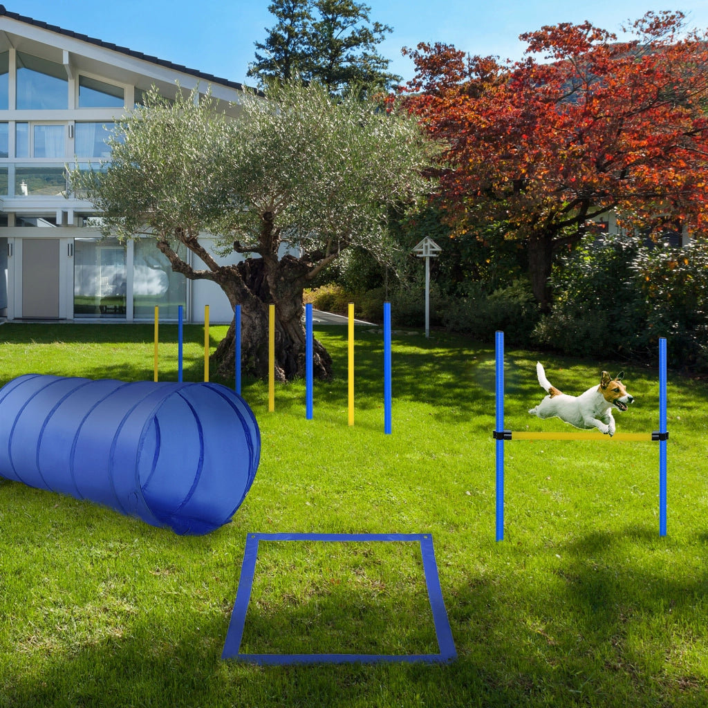 Set Agility per Cani ¨C zephmum ¨C Giallo e Blu