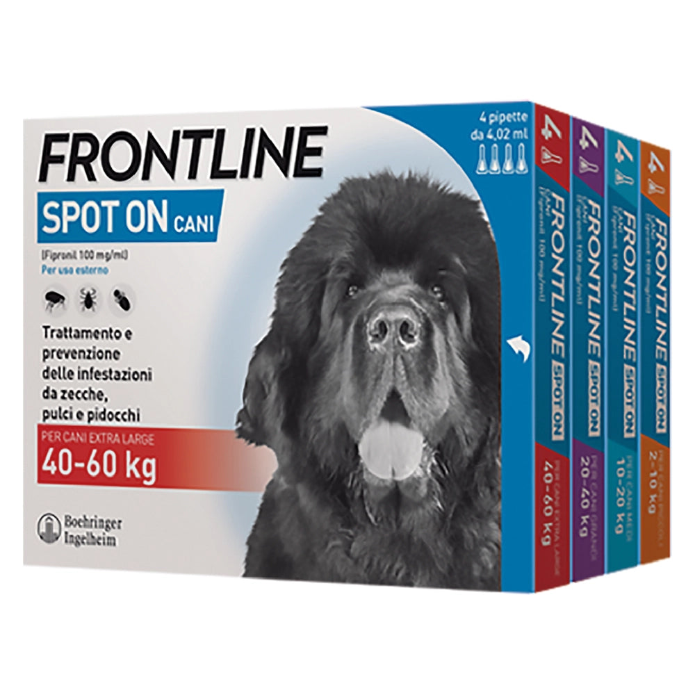 1cf antiparassitario 'frontline spot-on' cani 10/20 kg - 4 pipette ml 1,34 cod:ferx.6800624nlm