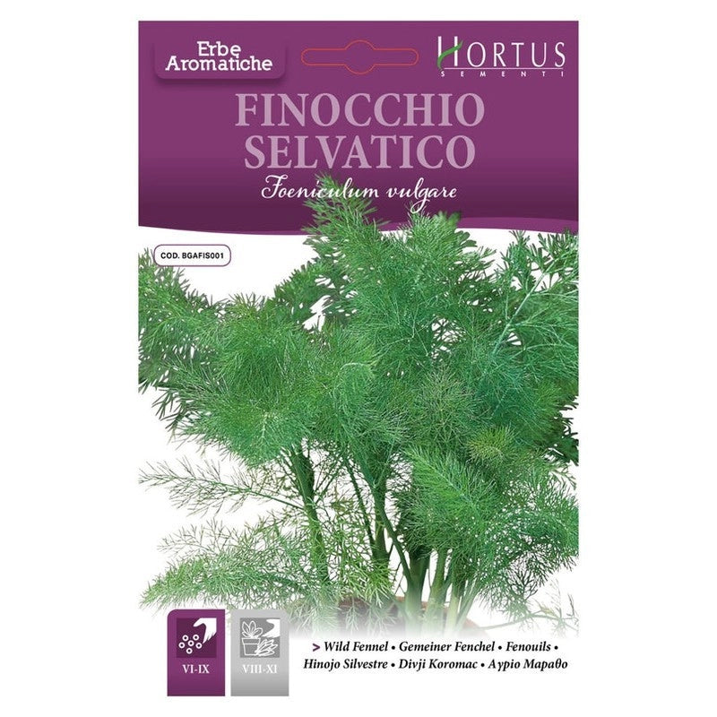 Finocchio Selvatico DB