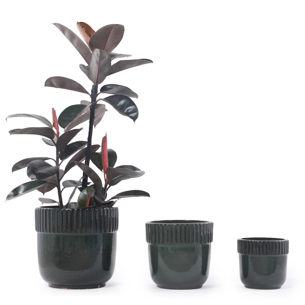 Vaso per piante in ceramica ¨C Minimal ¨C Verde scuro lucido ?23cm adatto per interni
