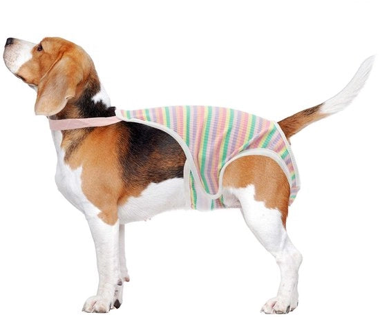 Luiers per cani adattabili - Stoffa soffice e respirante - Cinturini regolabili - Adatti per cani con denti - Misura M - Sostituzione facile - Duratura per uso quotidiano - Luiere per cani