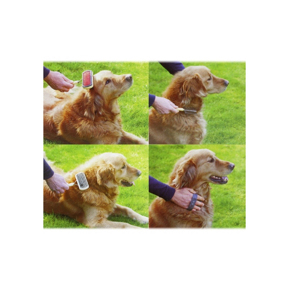 Trade Shop - Kit Delle Coccole 3 Pz Di Spazzole Per La Pulizia E La Cura Del Cane -
