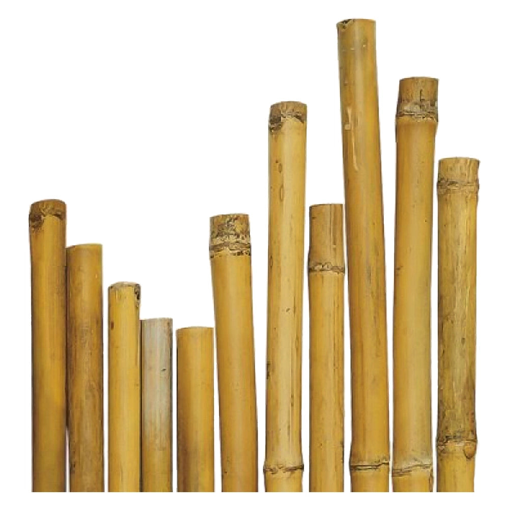 CANNA BAMBU' Ø 28/30 mm. circa - h. mt 2,1- 50 pezzi  - BricoGo
