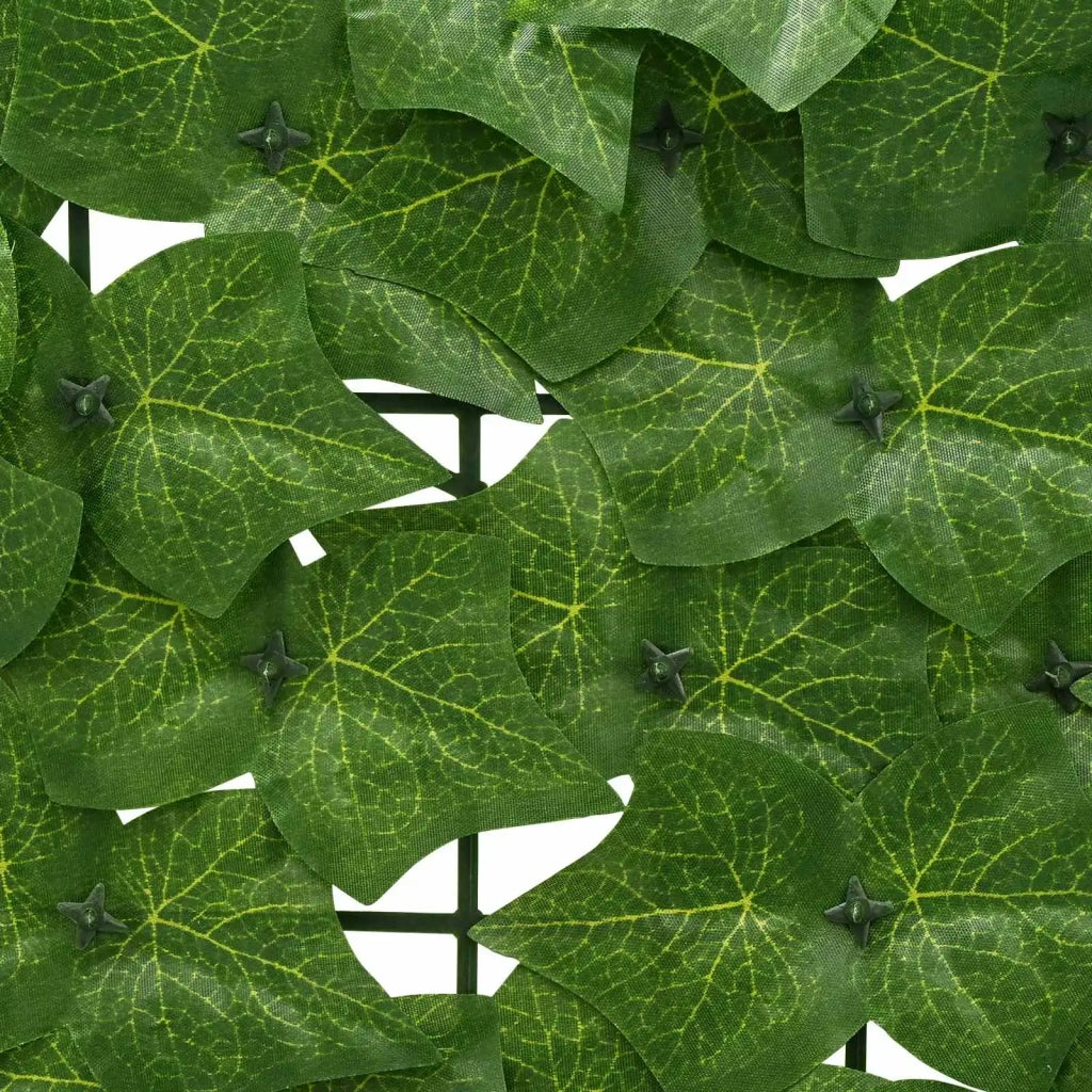 Paravento da Balcone | Schermo per balcone con foglie Verde 500 x 75 cm