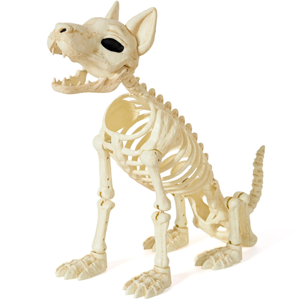 Scheletro di cane, 86 cm, plastica, articolazioni mobili, decorazione per Halloween