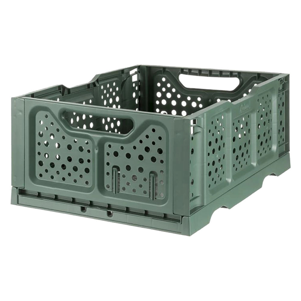 CESTA FRUTTA CASALINGA PIEGHEVOLE APRI/CHIUDI OPLA colore verde BAMA