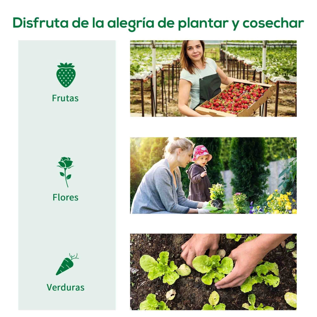 Serra Tunnel da Giardino ¨C Xylo ¨C 2 Porte 2 Finestre Telaio Acciaio Copertura PE Anti-UV Verde