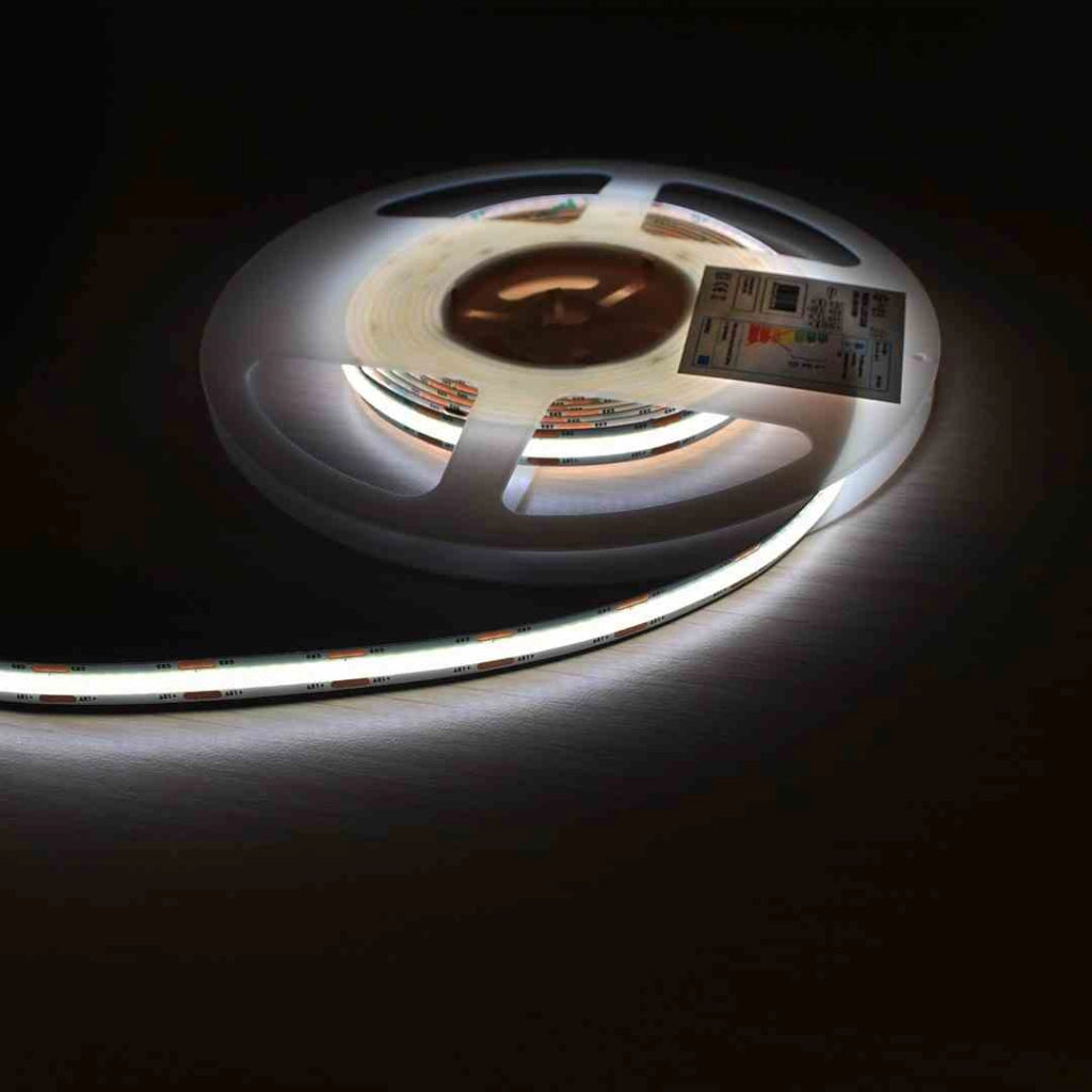 Striscia LED Eko-Light 5m 50W 6500K bianco freddo 12V