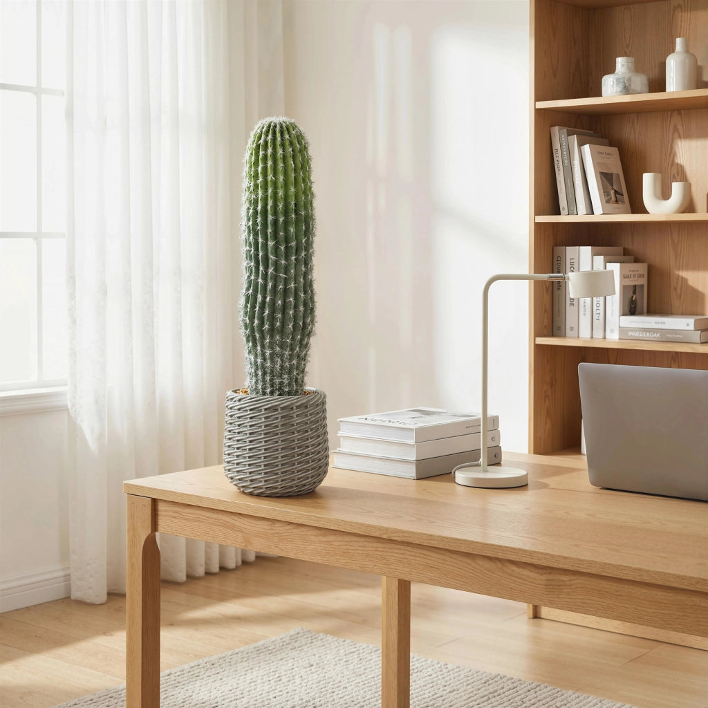 Pianta Artificiale Cactus ¨C Minimal ¨C Verde 66 cm