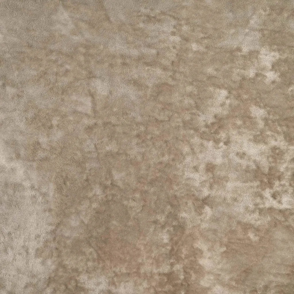 Tende in Velluto con tende 2 pcs Champagne 175 x 140 cm Velluto 4107744