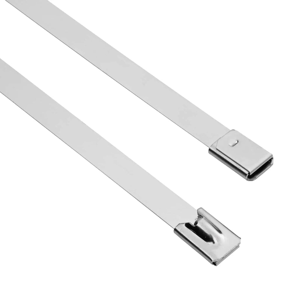 Fascetta per Cavi 25 pz 7,9 x 600 mm Argento 42029409
