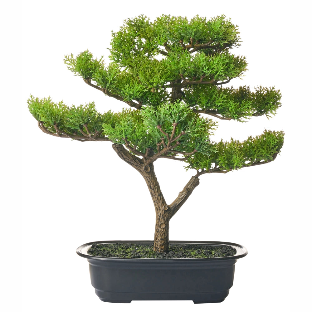 Pianta artificiale in vaso verde e nero Materiale sintetico 37 cm Bonsai Accessorio decorativo per interni