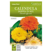 Calendula doppia mix DB