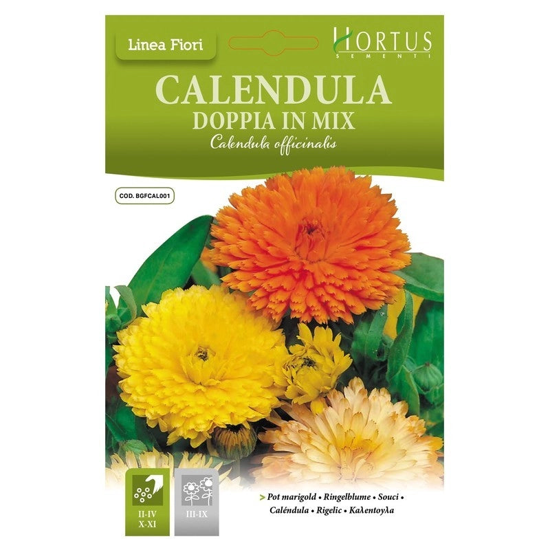Calendula doppia mix DB