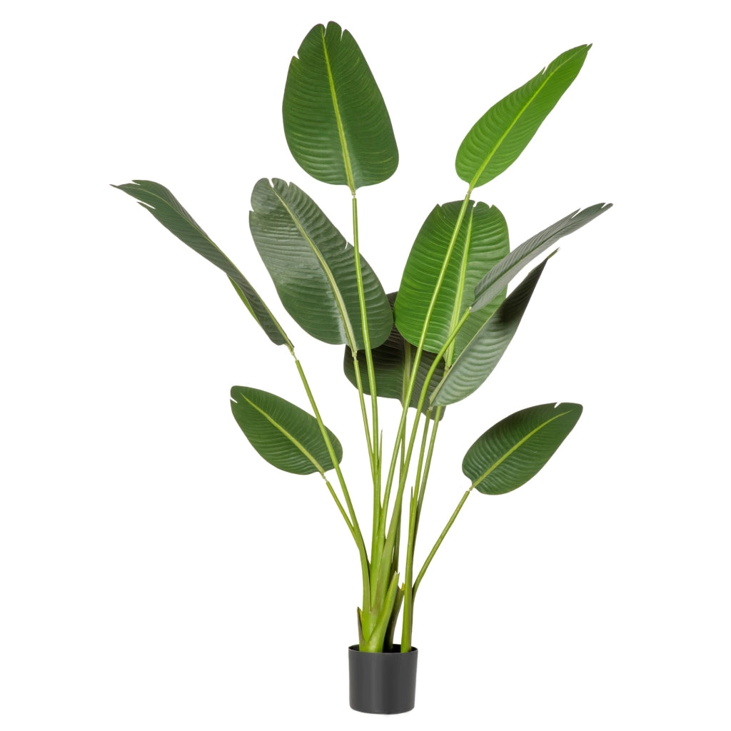 Planta Artificiale Banano ¨C zephmum ¨C Verde, 160 cm