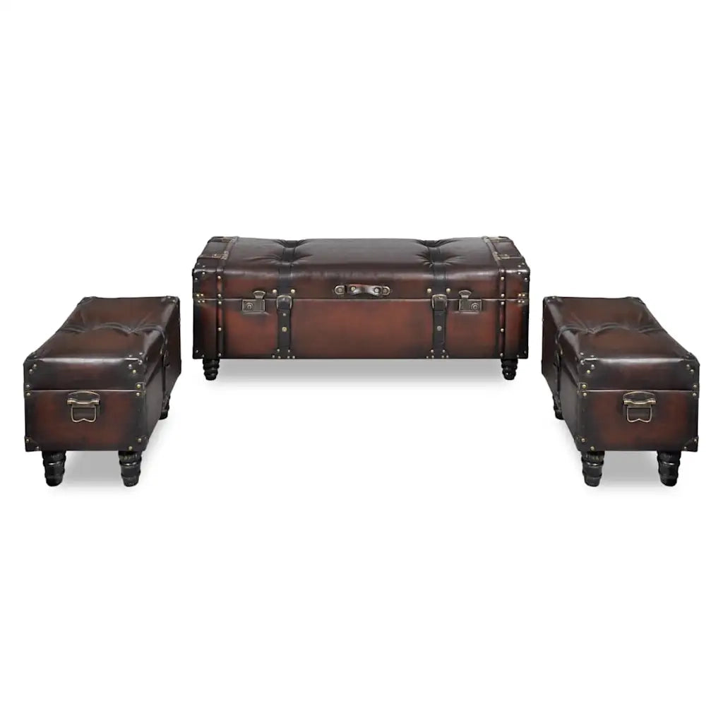 Cassapanca Set 3 pz-Panca con Contenitore Marrone