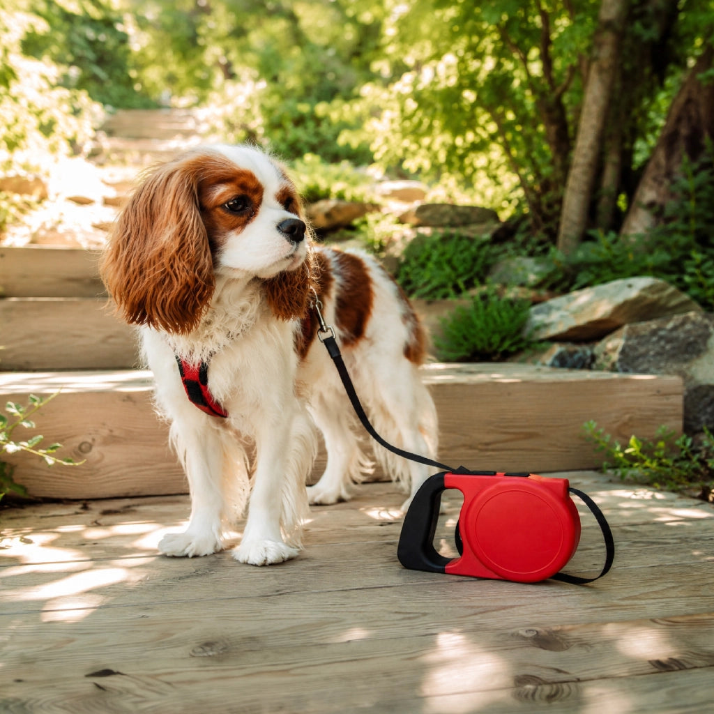 Set 3 Guinzagli Estensibili per Cani con Sistema Retrattile e Pulsante di Blocco – Disponibile da 5 m fino a 20 kg o da 8 m fino a 30 kg  Rosso - 5Metri-20Kg