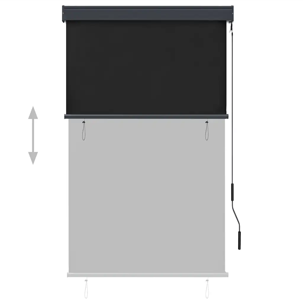 Tenda a Rullo per Esterni 100x250 cm Antracite 145958