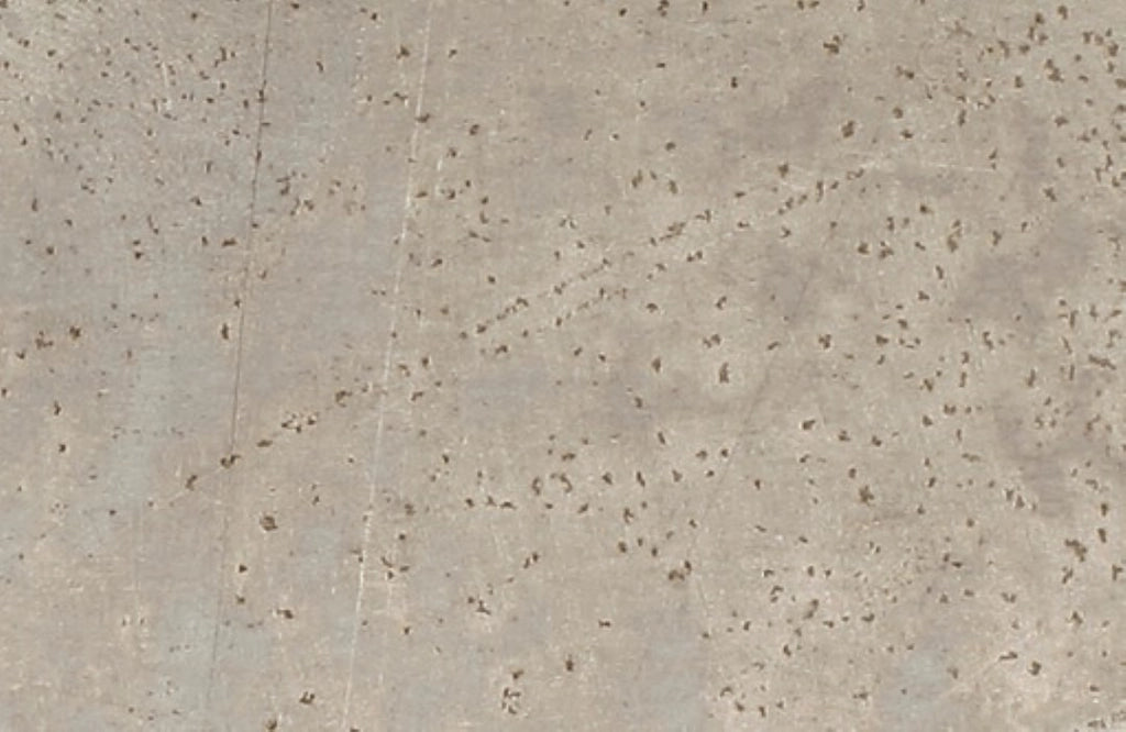Lamiera In Alluminio Liscio Naturale 100X40 - Arcansas