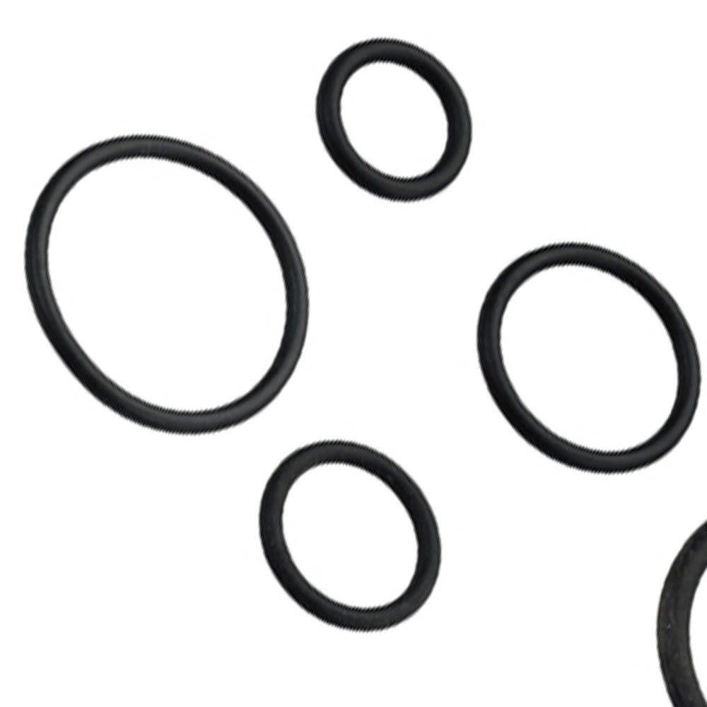 Anello oring in kit