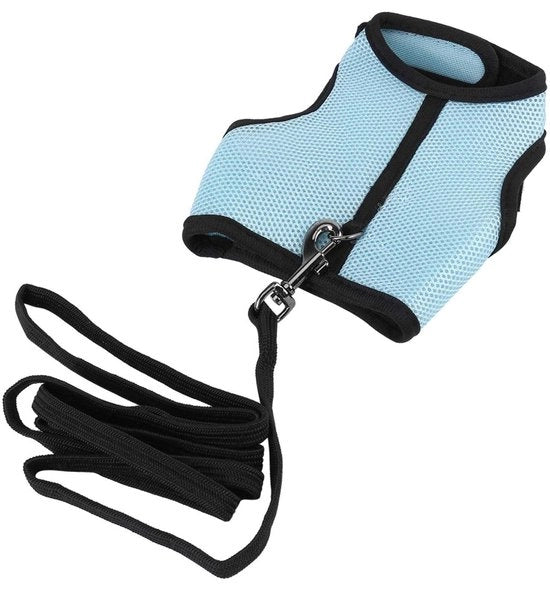 Cinturone per Piccoli Animali - Set di Cinturone e Guinzaglio - Mesh Zoppa - Adattabile per Animali Piccoli - Respirante e Comodo - Dimensione M/L - Cinturone per Animali in Nylon di Alta Qualità