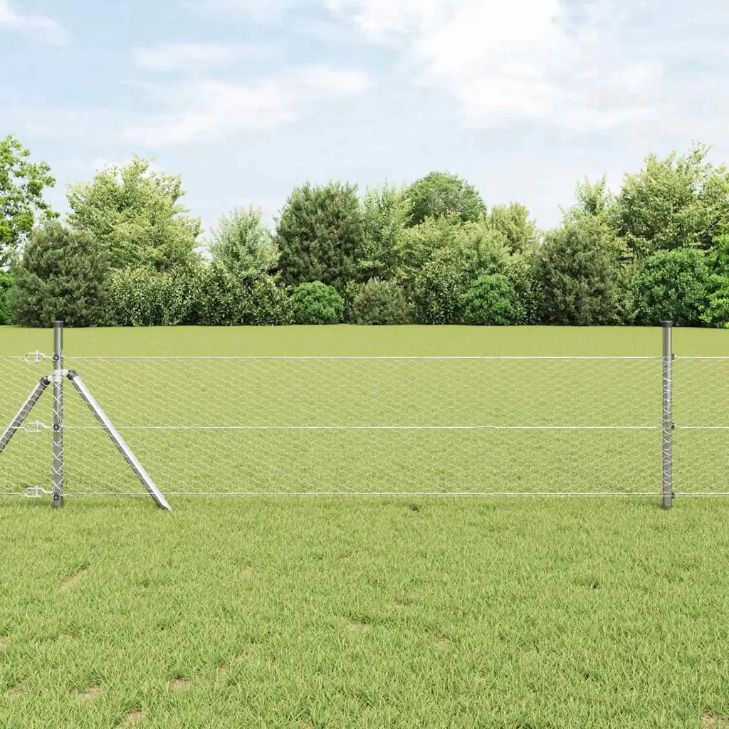 Palo della recinzione Argento 50 x 0,8 m (rete da 25 mm)