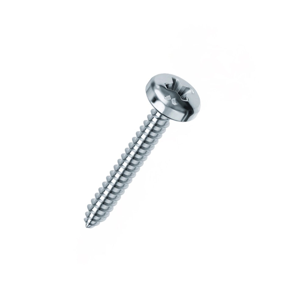 VITE AUTOFILETTANTE TC ZINCATA 2,9x13 mm - 1000 pezzi- AMBROVIT
