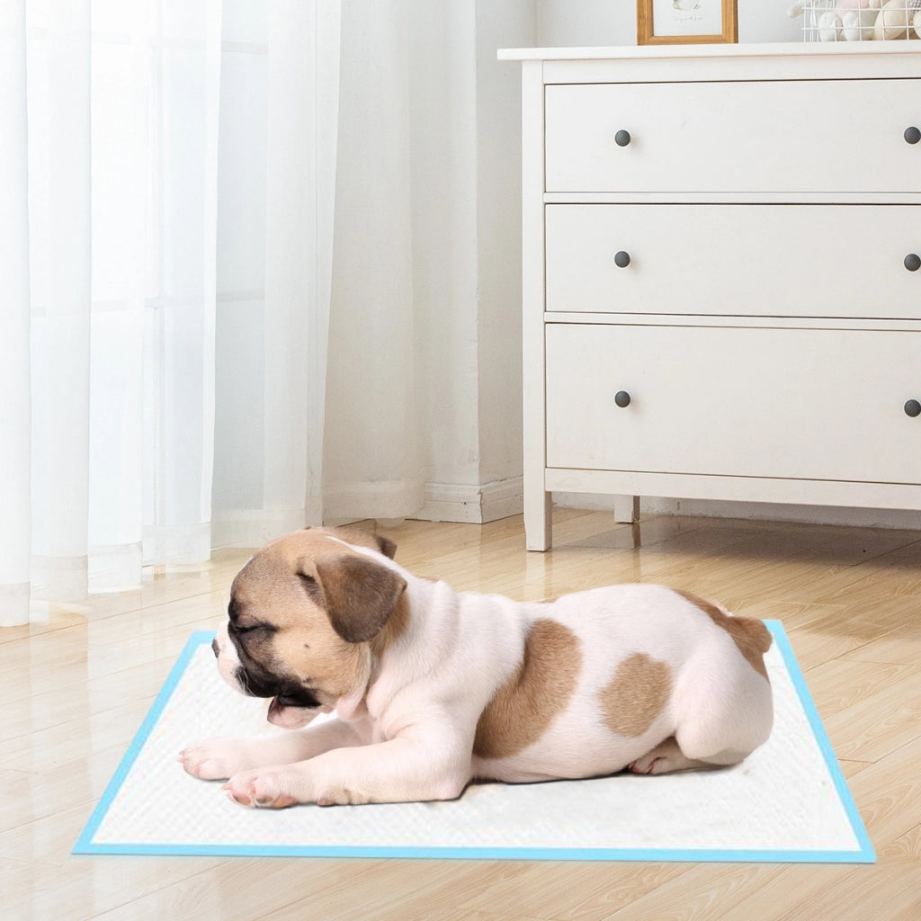 Traverse usa e getta con controllo odore, Traverse per cani gatti conigli con asciugatura rapida 60 x 60 cm-Giochi e accessori per cani