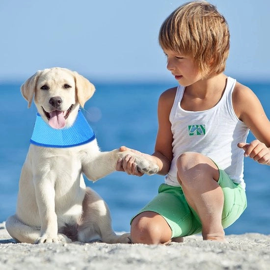 Accessorio di raffreddamento per cani - Sciarpa raffreddante per cani - Foulard leggero - Accessorio estivo - Per cani di piccola e media taglia - Materiale PVA