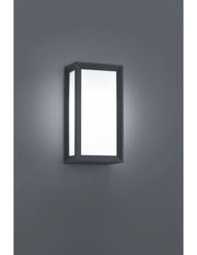 Applique Da Esterno Timok Led IP54 Antracite H25 cm Trio Lighting